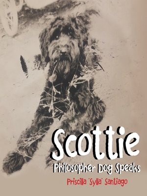 cover image of Scottie
